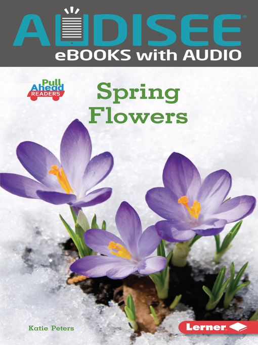 Title details for Spring Flowers by Katie Peters - Available